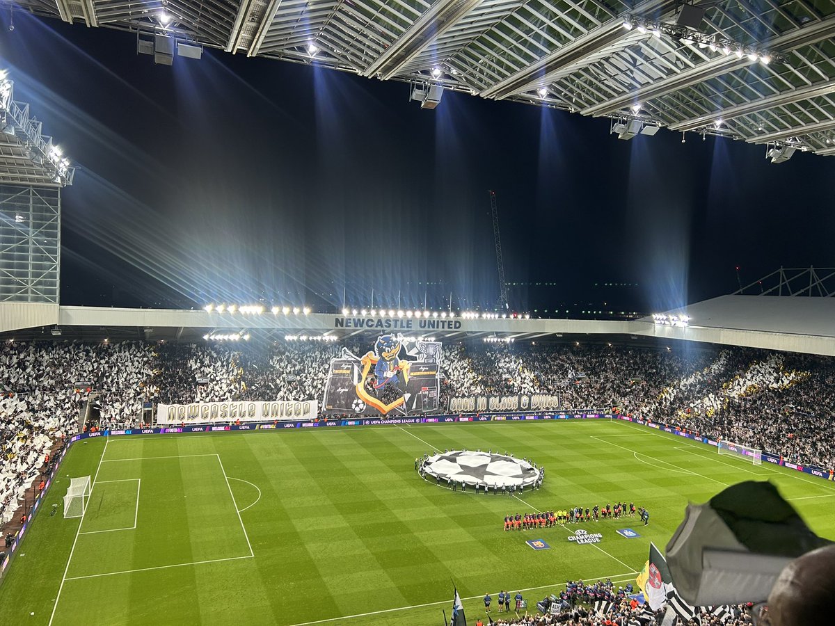 Helen Holmes tweet media