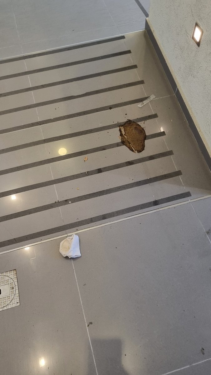 quien fue el hdp q cago en la puerta de mi edificio y sacrifico la media