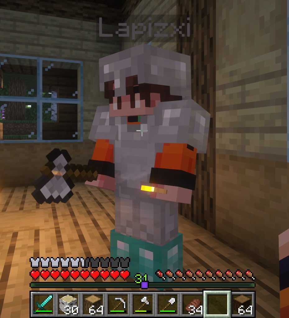 4sfreak's tweet photo. hashtag landoscar in minecraft :3 https://t.co/7pQXtIIToL