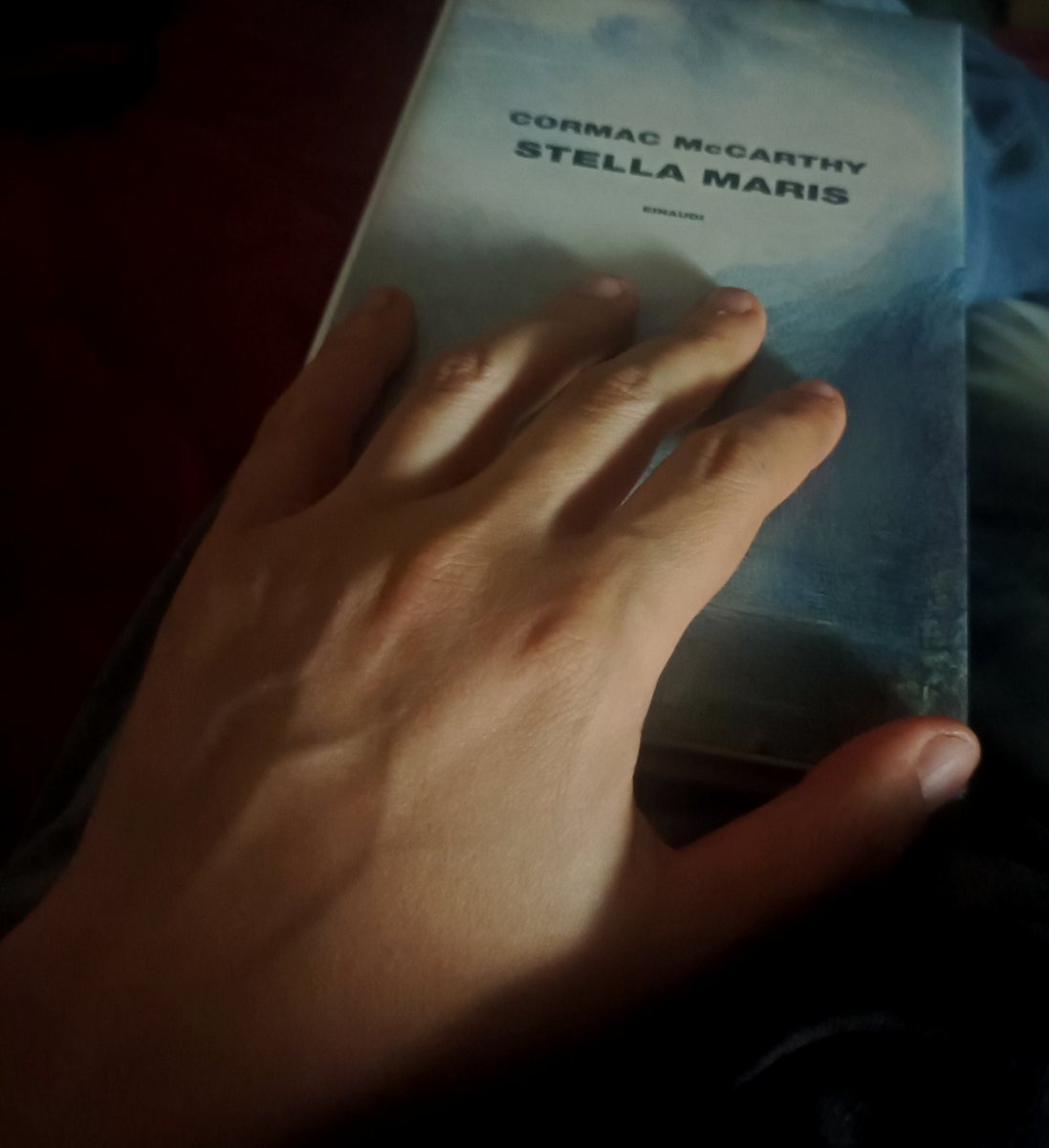 GiuseppeCeddia0's tweet image. #letture 
@Einaudieditore 

#books 
#cormacmccarthy