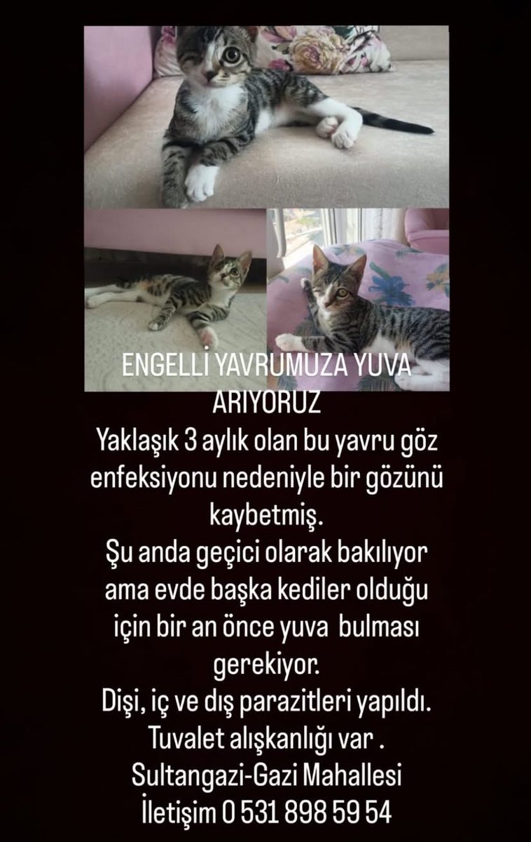 rtleyebilir misniz🤗🤗🫶🏻