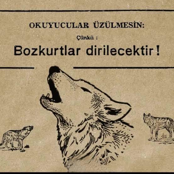 Bozkurtlar dirilecektir.!

Türklük ateşi tekrar yanacak!...