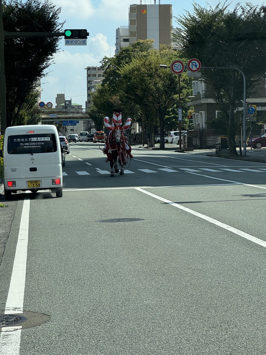 BCNR33KAIAUTECH's tweet photo. 馬走ってた！
どっかで逃げたっぽいなぁ。 https://t.co/KpZ35X4fC1