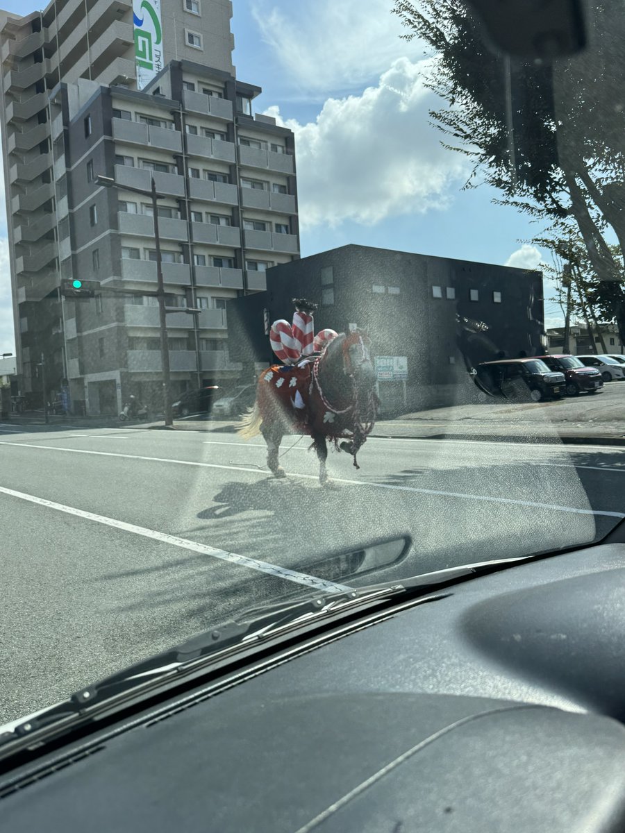 馬走ってた！
どっかで逃げたっぽいなぁ。