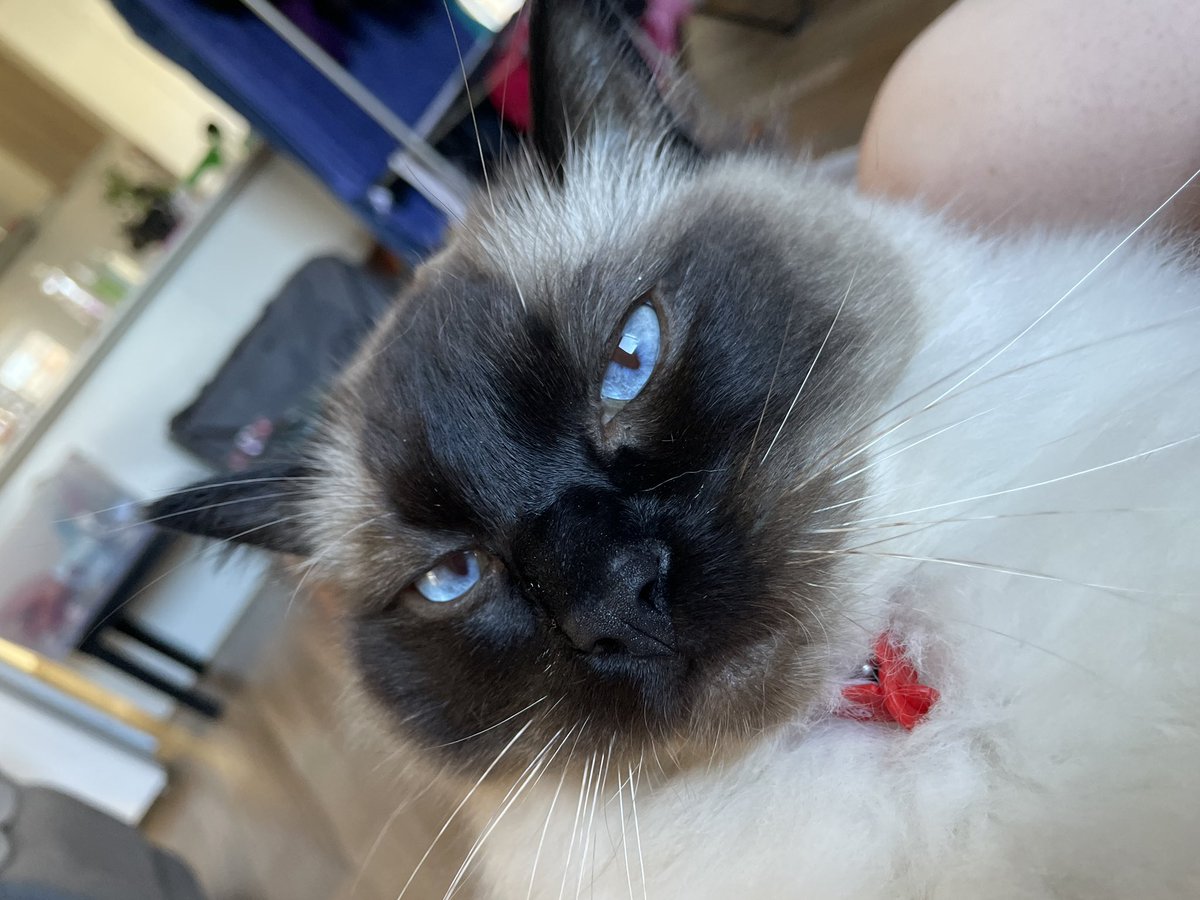 CSSprite_'s tweet image. Stares at you with my autistic eyes