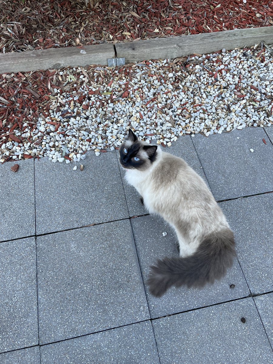 CSSprite_'s tweet image. I explore