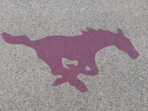 MVBoosterClub_'s tweet photo. 🚨 It's that time of year!! Get your 🏡 curb address painted and/or show your 🐴 MUSTANG PRIDE with a driveway logo!
🎨 Support MV athletes &amp; first responders.
✅ Stylish
✅ Visible
👉 https://t.co/4I8qFNrERP
#PaintTheTown #MustangPride #SupportLocal https://t.co/VVZ6jCUw29