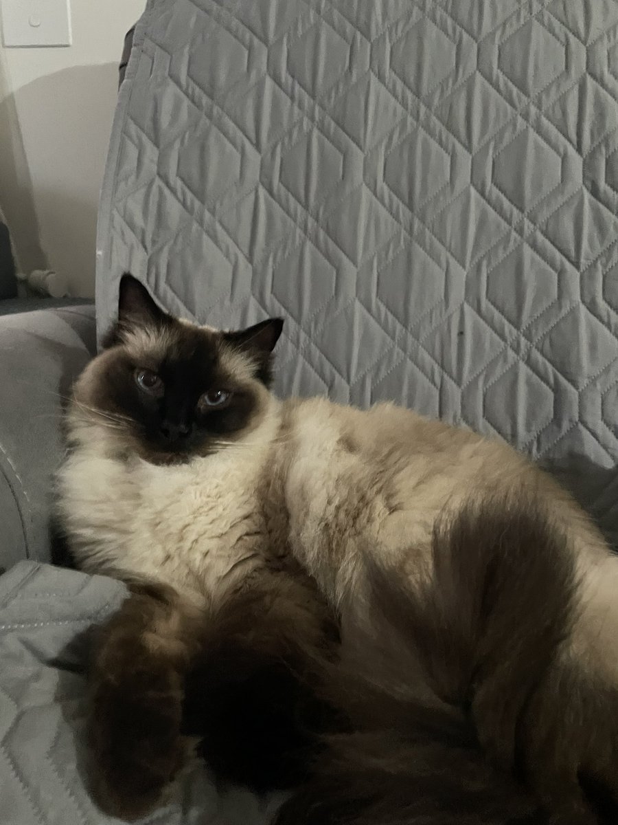 CSSprite_'s tweet image. I claim my throne