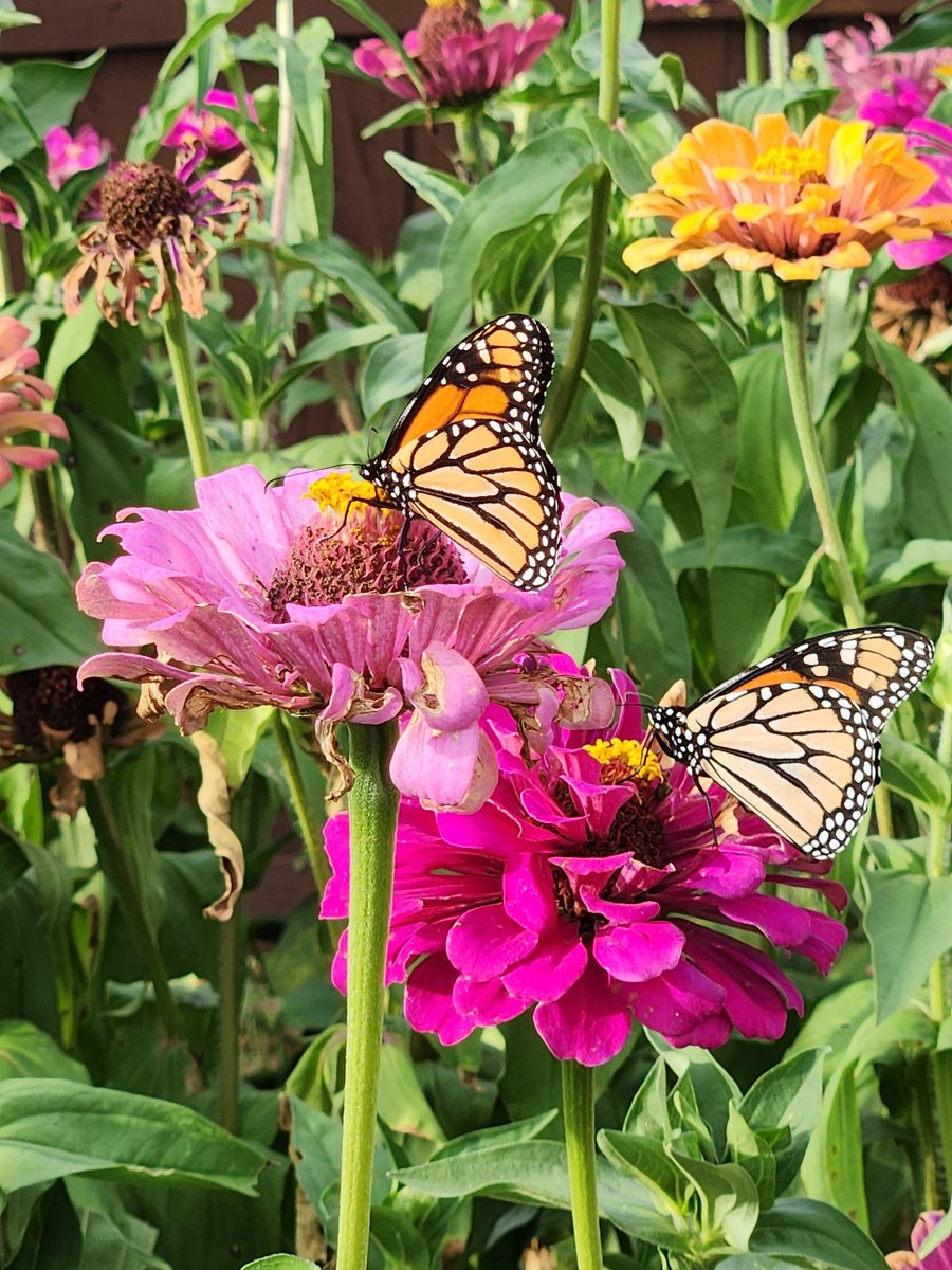 Bruce Potter tweet media