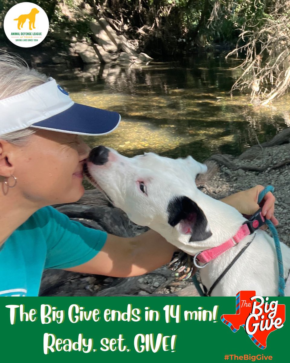 15 MINUTES LEFT! ⏳
This is it, the final countdown! 🎉 Every gift in these last moments helps change lives for the pets at ADL. Let’s finish strong and make The Big Give 2025 unforgettable! 
Give now before the clock runs out: adltexas.org/BigGive
