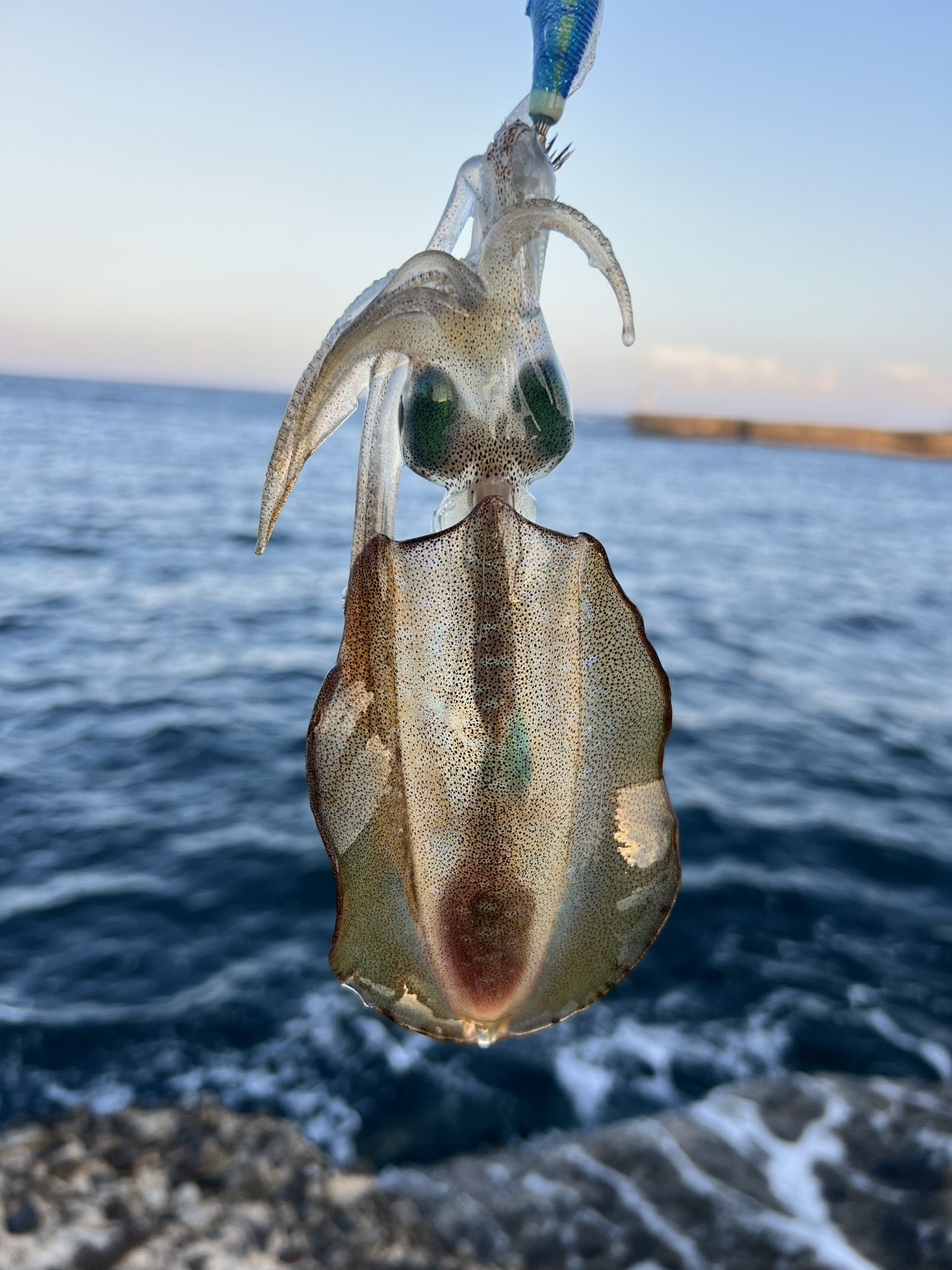 まるごと石川県 まるごと石川県