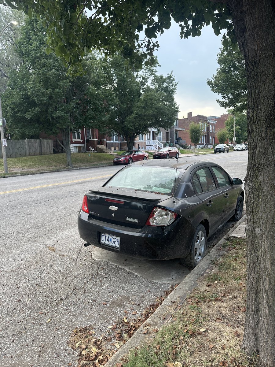 Dan Doelling tweet media