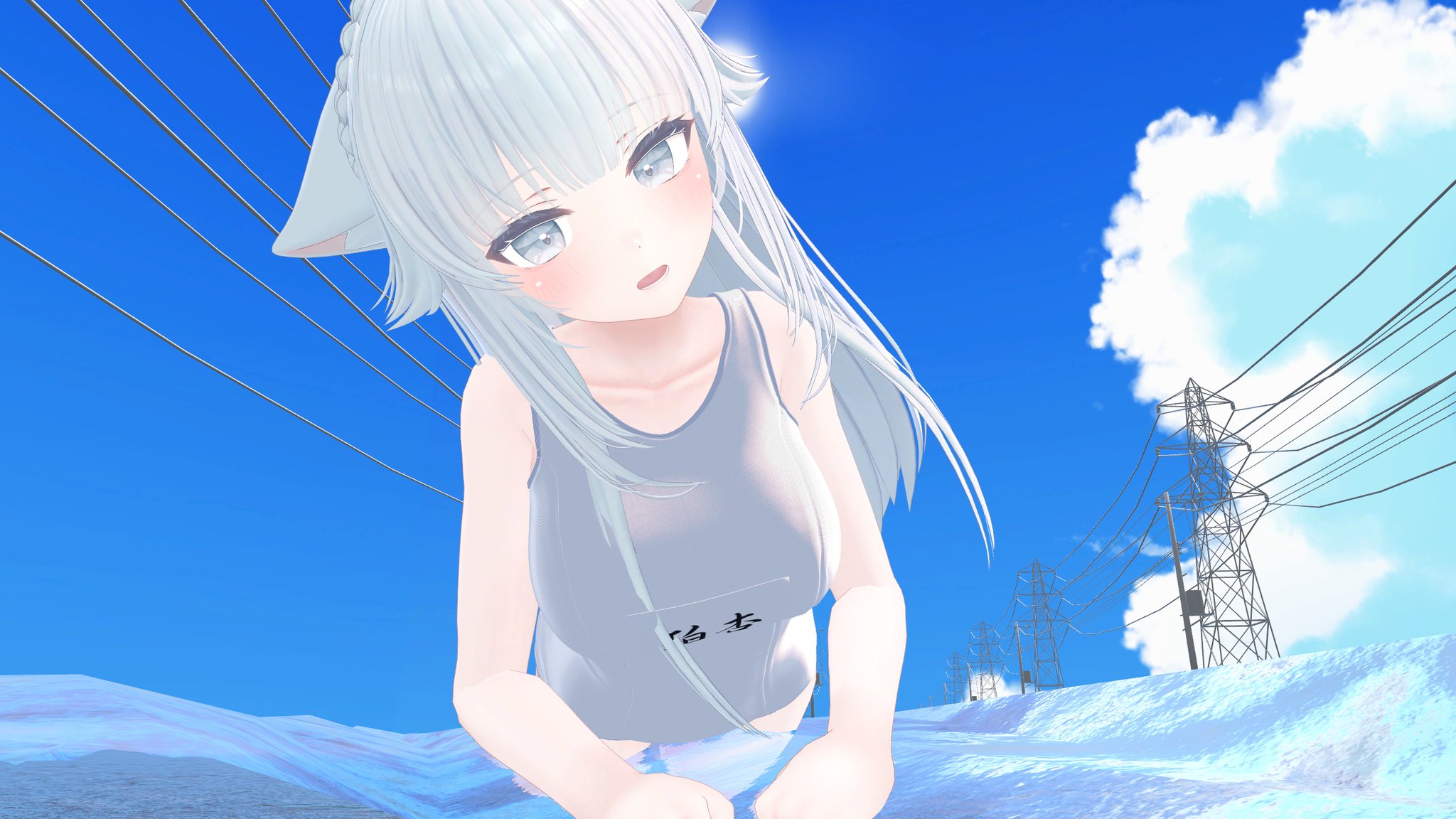 ♡にゃんこ♡ のらねねこ on X: 