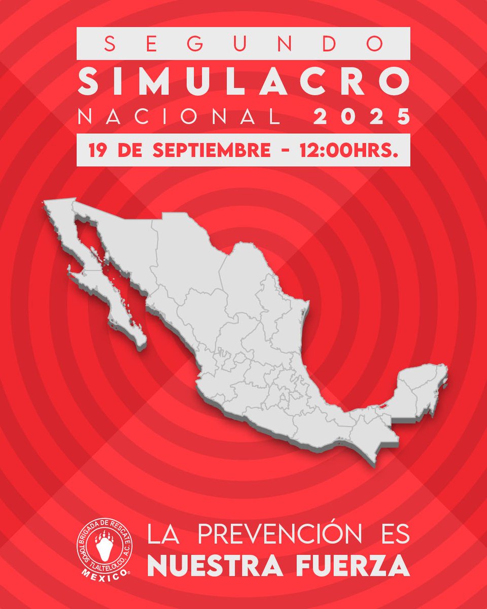 Topos® México tweet media