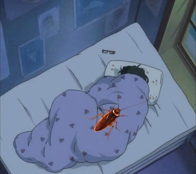 Las únicas caricias que recibo por las noches 😭