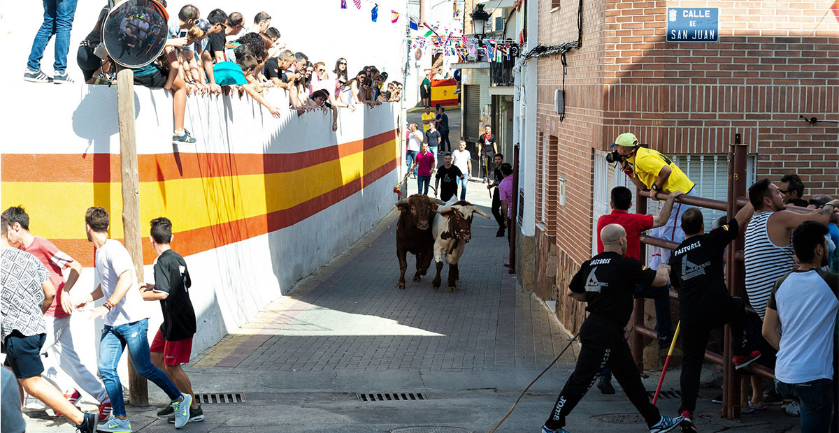 🗞 NOTICIAS

Primer día de fiestas en Campo Real: estos son los toros de capea

revistatauromadrid.com/2025/09/notici…