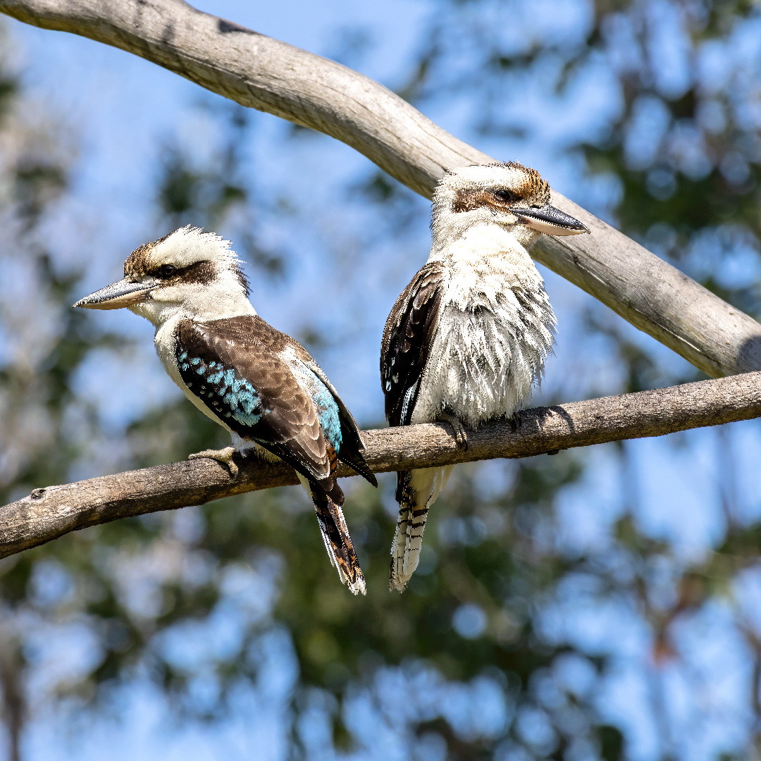 stew_ab's tweet image. 