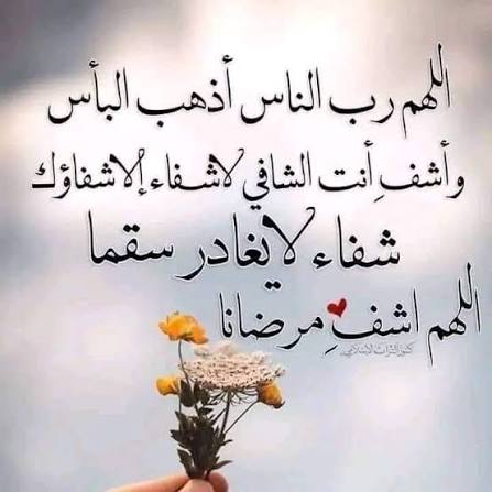 🐣فرز م̲ح̲م̲د̲ ل̲ل̲آ̲ضآ̲ف̲آ̲ت̲ 🐣 (@qjijjq) on Twitter photo 