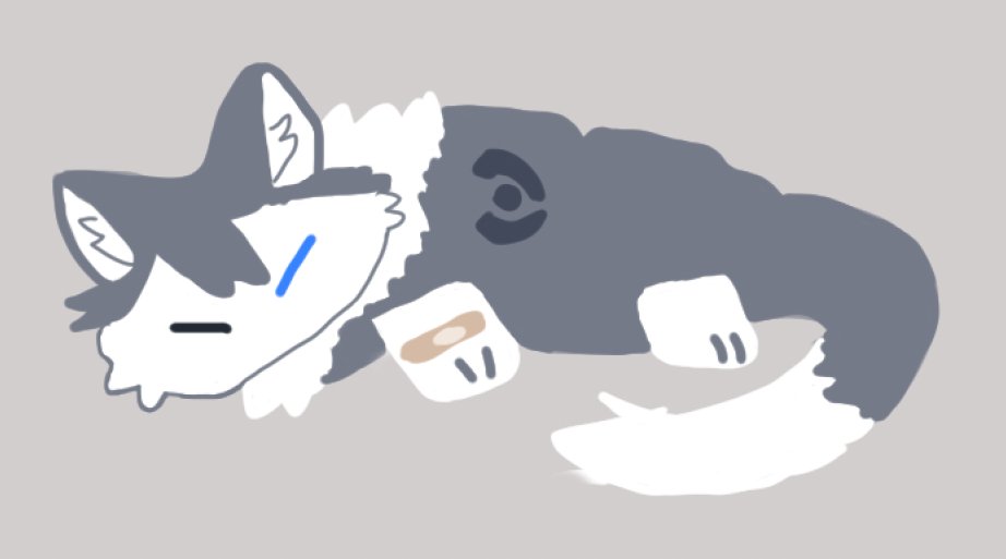 좋은 털금모닝이에요
여름감기에 시험까지 겹치니 힘드네요..