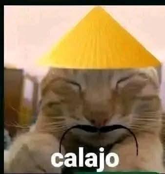 <a href="/lajjodidagraasa/">opi le fou ;-;</a> El chino