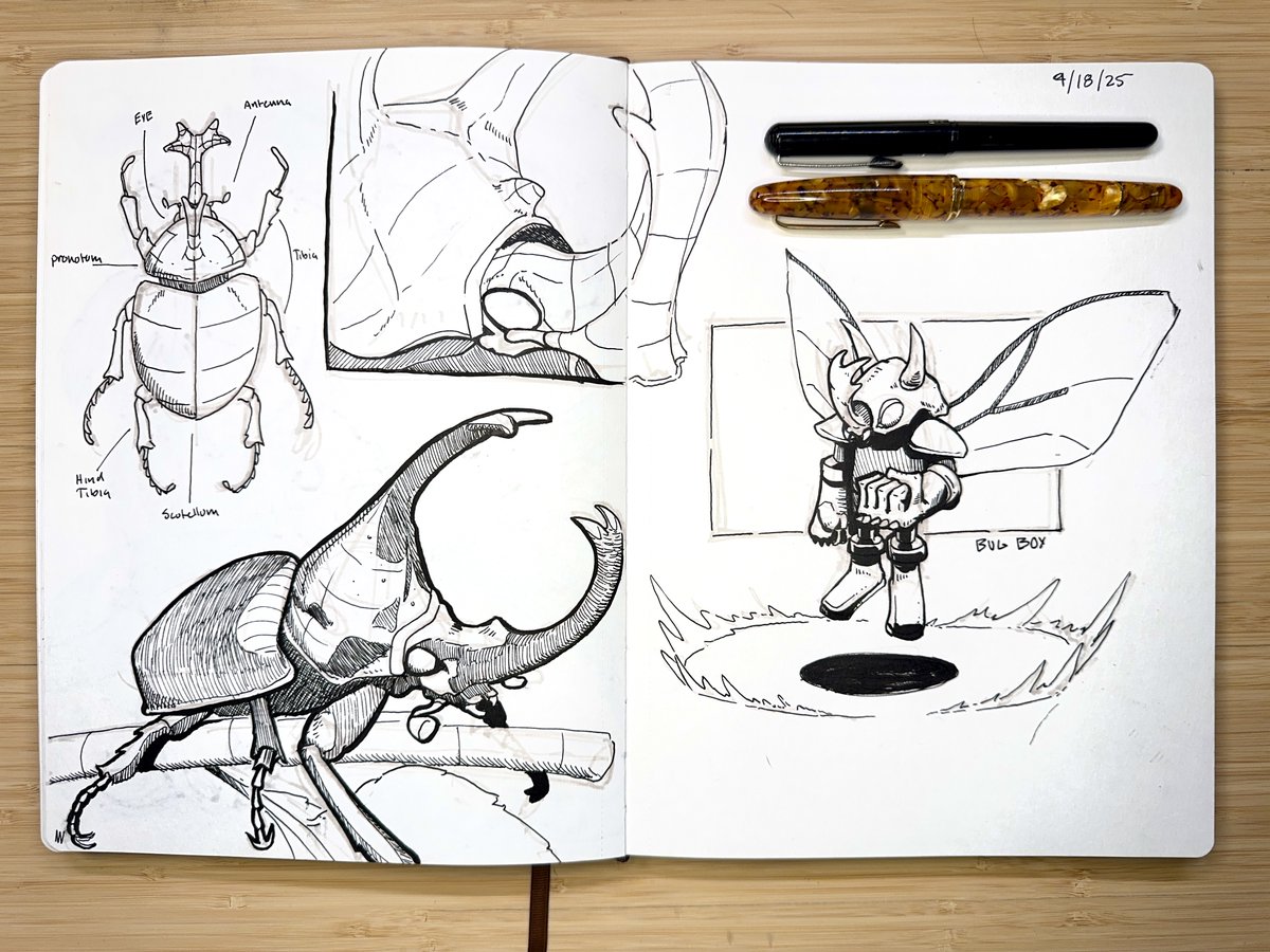 Bugs today. Turtles tomorrow?

The process of drawing nearly every day this year has taught me that I have a pretty high tolerance for failure. Also how much of myself those failures can reveal. From the shake of my hand to the confidence in my decision making. Consistent