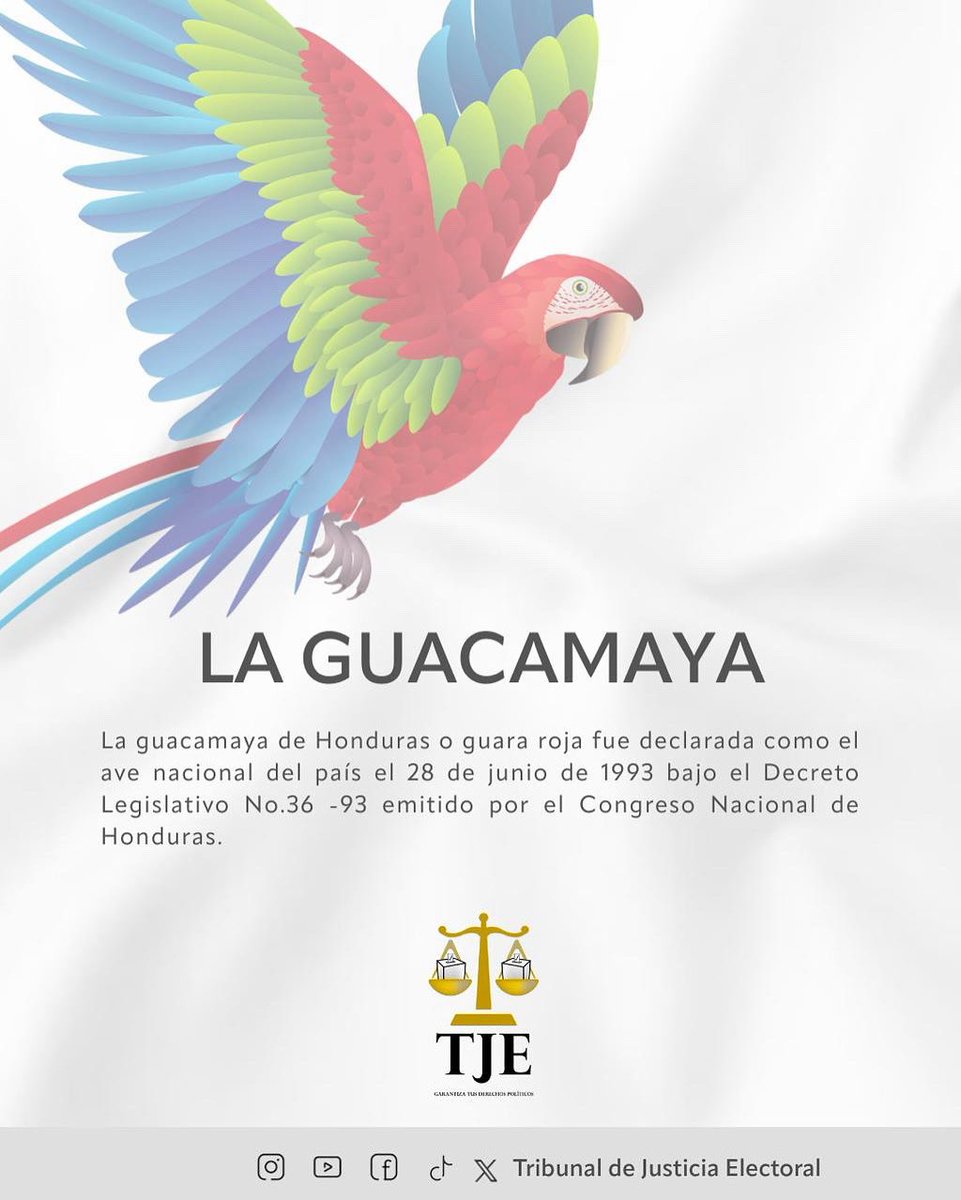 🇭🇳En este mes de la independencia, celebramos nuestros derechos y el valor de una justicia electoral imparcial. #MesPatrio #VivaHonduras #HondurasSomosTodos