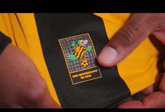 PArche del loro quinquenio en la casaca aurinegra