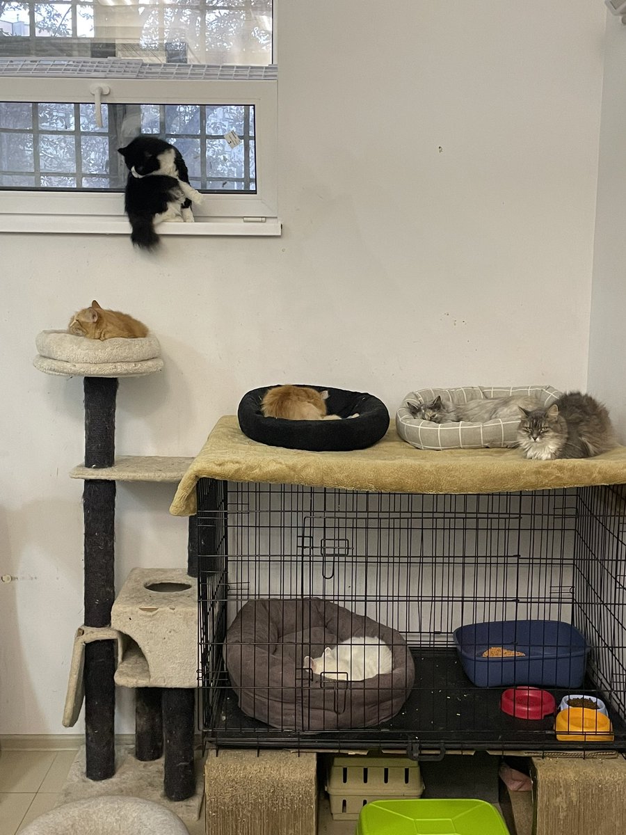 Good night 

And please support ;)