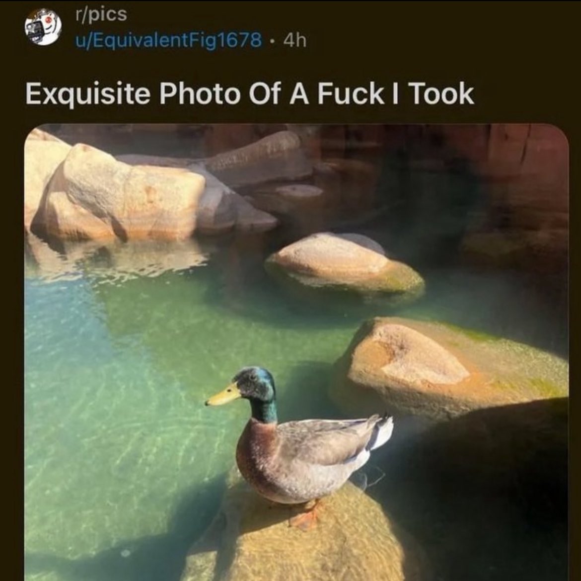 Haven’t been drawing fetish stuff lately PURELY because of my environment 

I WANT to, I just don’t want my roommate to know what I’m into lmao