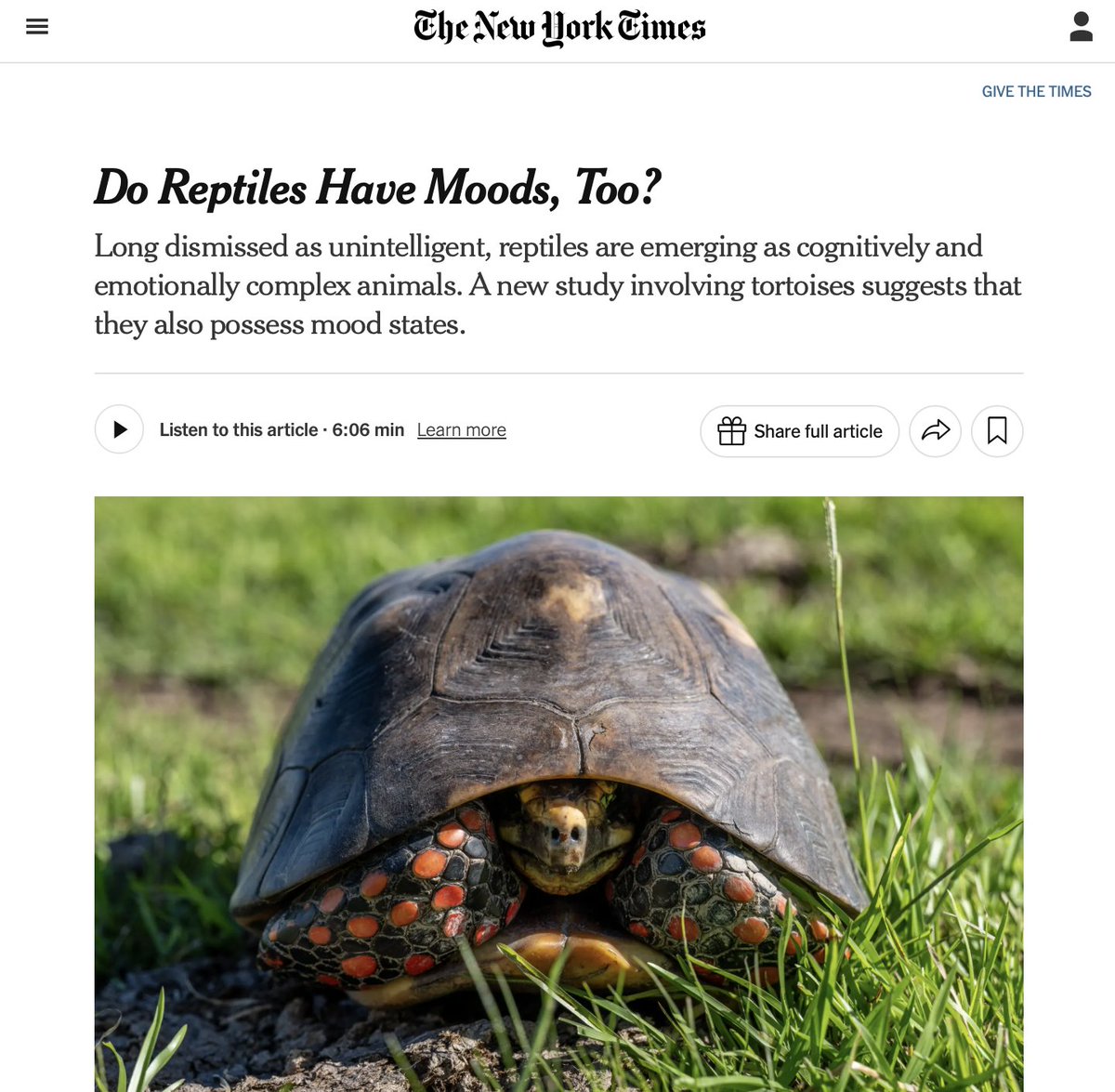 Crystal Heath DVM (@drcrystalheath) on Twitter photo The reptile revolution begins! Thank you <a href="/9brandon/">Brandon Keim</a> for this piece in <a href="/nytimes/">The New York Times</a> today! 
"Snakes in particular are commonly kept in too-small enclosures with little enrichment. In future research, Dr. Wilkinson said, 'what we would love to do is to look at what happens if you give The reptile revolution begins! Thank you <a href="/9brandon/">Brandon Keim</a> for this piece in <a href="/nytimes/">The New York Times</a> today! 
"Snakes in particular are commonly kept in too-small enclosures with little enrichment. In future research, Dr. Wilkinson said, 'what we would love to do is to look at what happens if you give