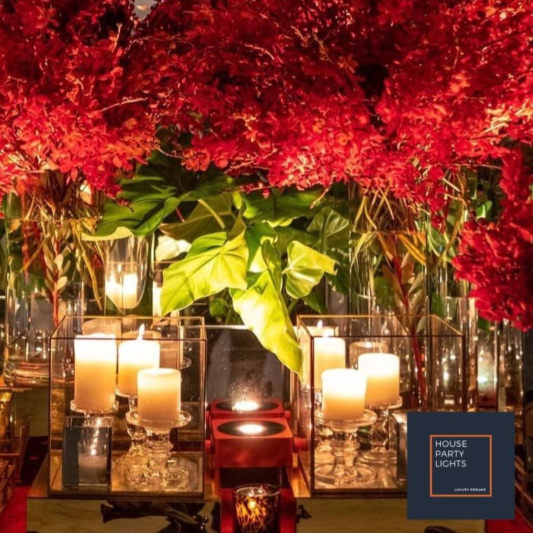 hplpr's tweet photo. We are in the middle of decorating ! Look our new smallest Led lights !  #hplpr #hpldirecto #weddingnight #PuertoRico #HotelsPR https://t.co/lTowsO2cH8