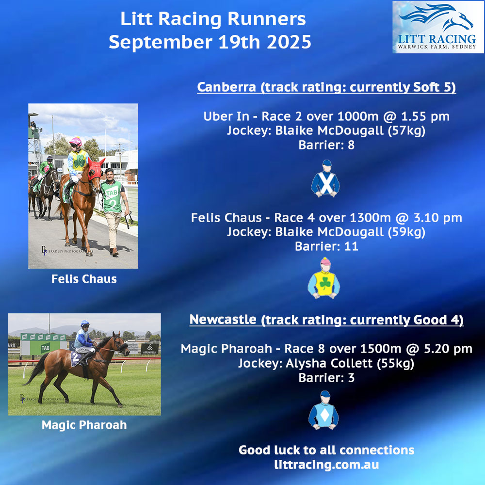 We are off to Canberra and Newcastle today with three runners. UBER IN debuts over the 1000m, FELIS CHAUS is second-up stepping up to 1300m, and MAGIC PHAROAH drops back a tad in trip to 1500m. Good luck to all connections, our horses and their jockeys.