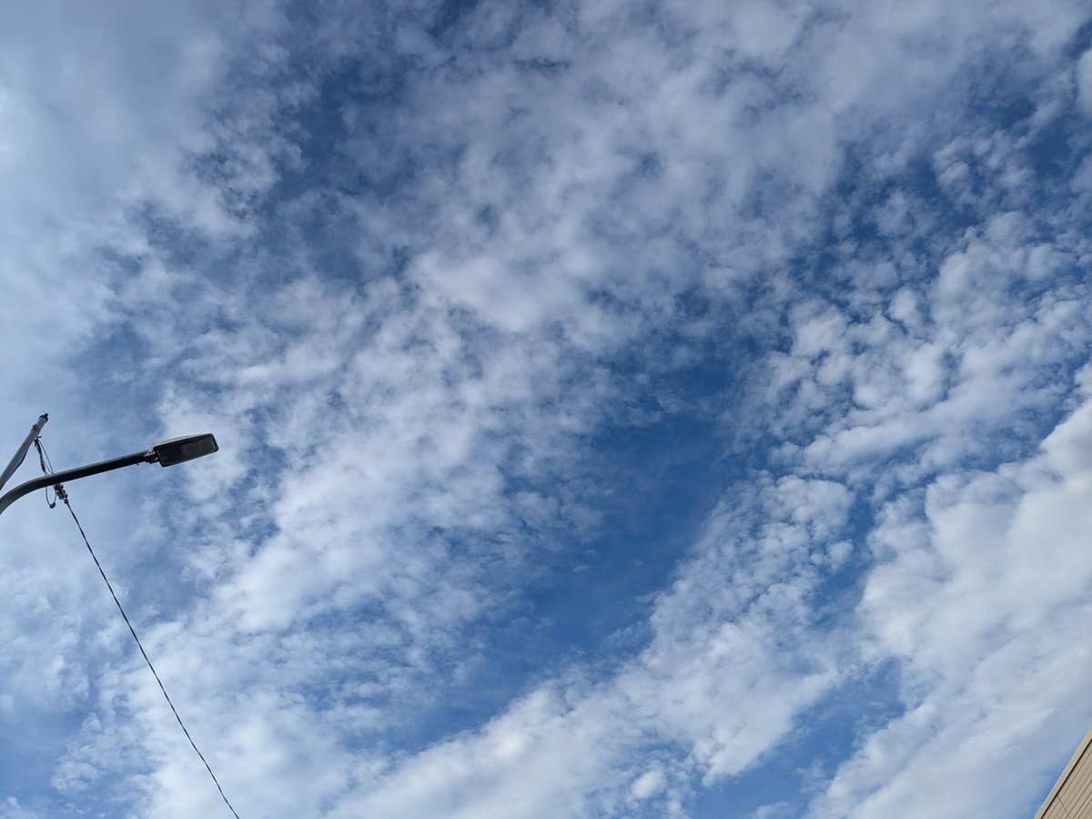 Hikonoji's tweet photo. 空は秋めいてきましたが。 https://t.co/qA7Iu4562e
