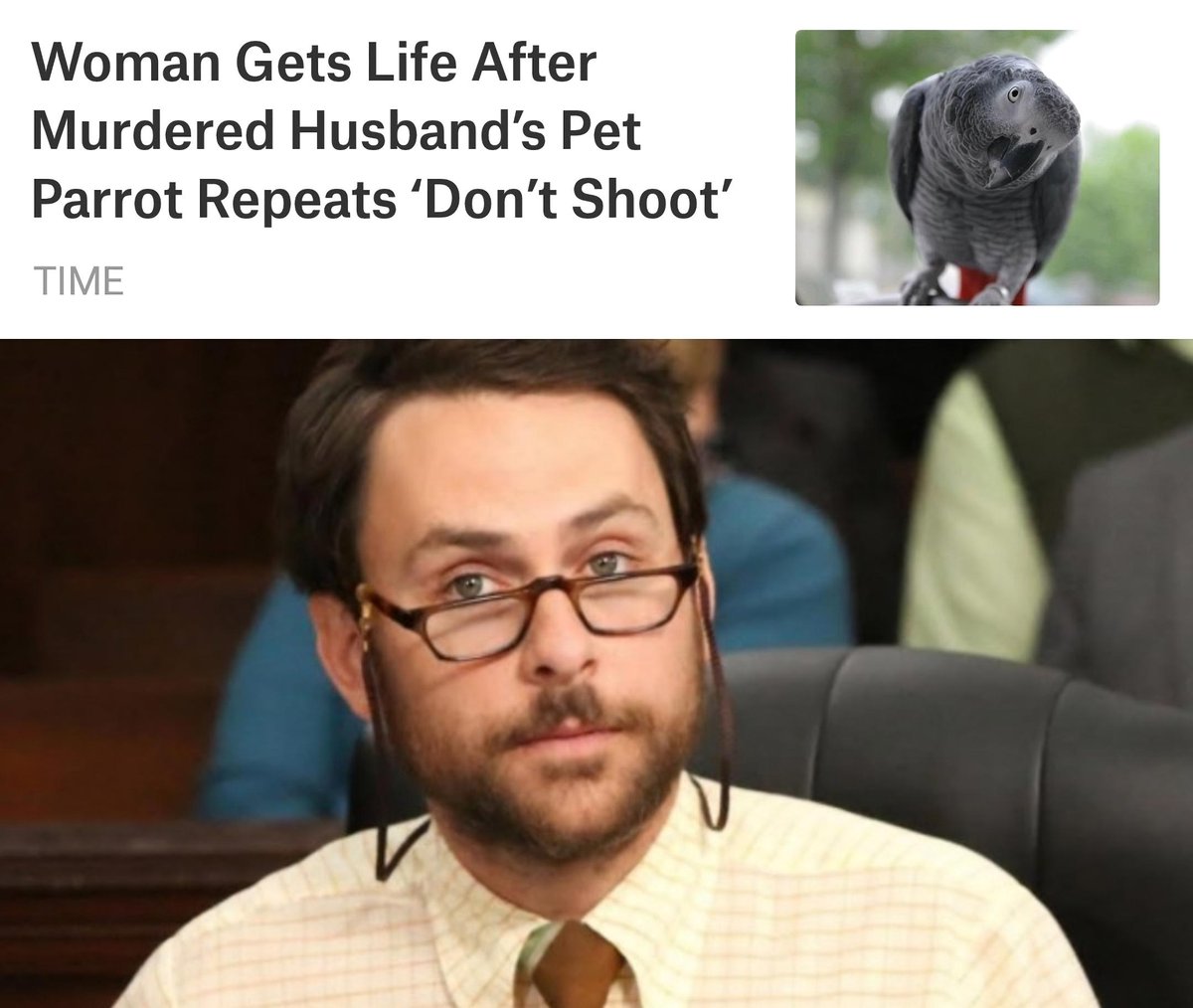 Charlie 👑🐀 (@charliedayquote) on Twitter photo 