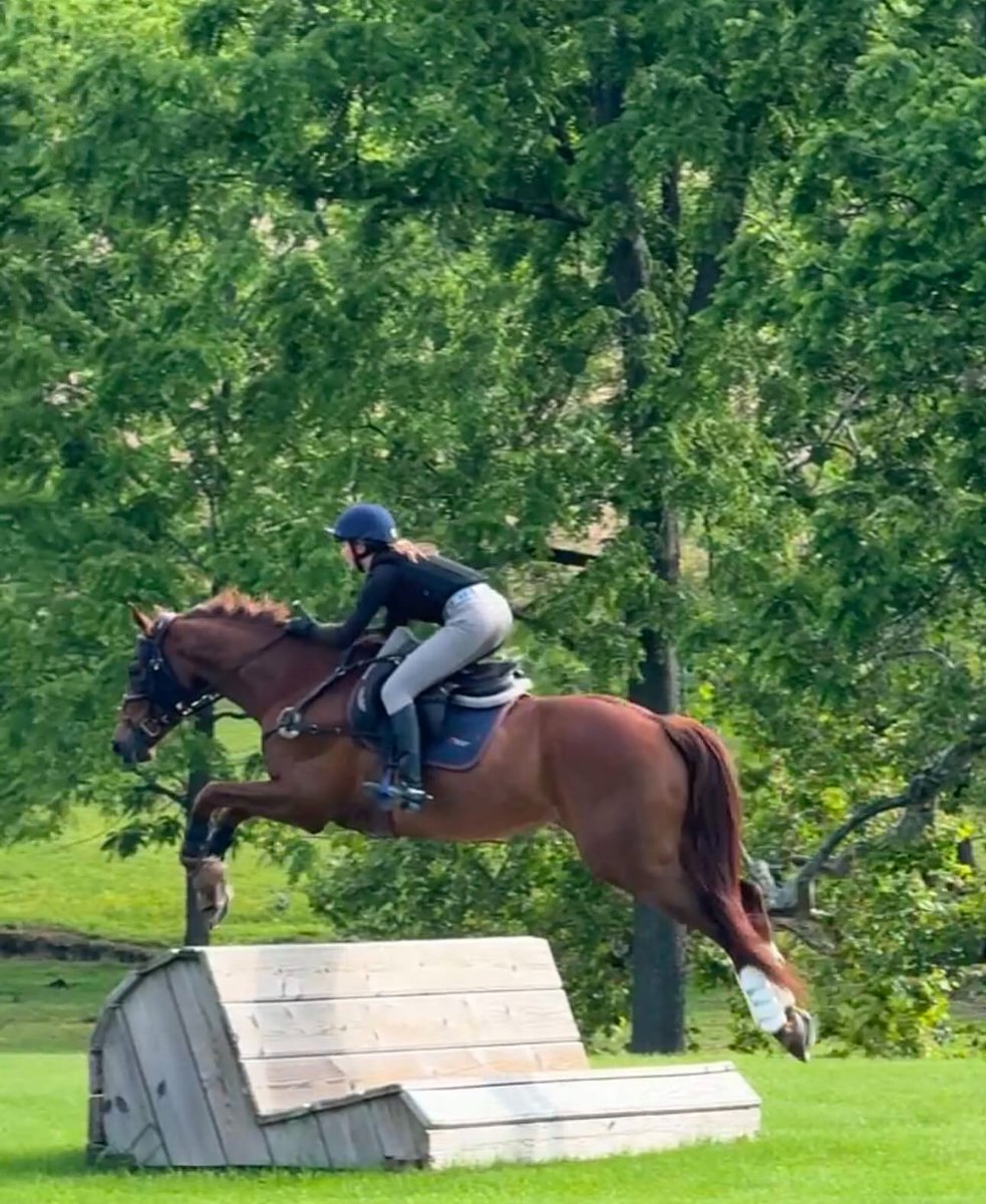 Our young rider representation will be very strong at Fair Hill on October 18. Say hello to Jenavieve French, 17, and her 6-year-old OTTB, Borrelly!

therealridercup.com/competitor/jen…

#JumpOn! 🏇🏆
