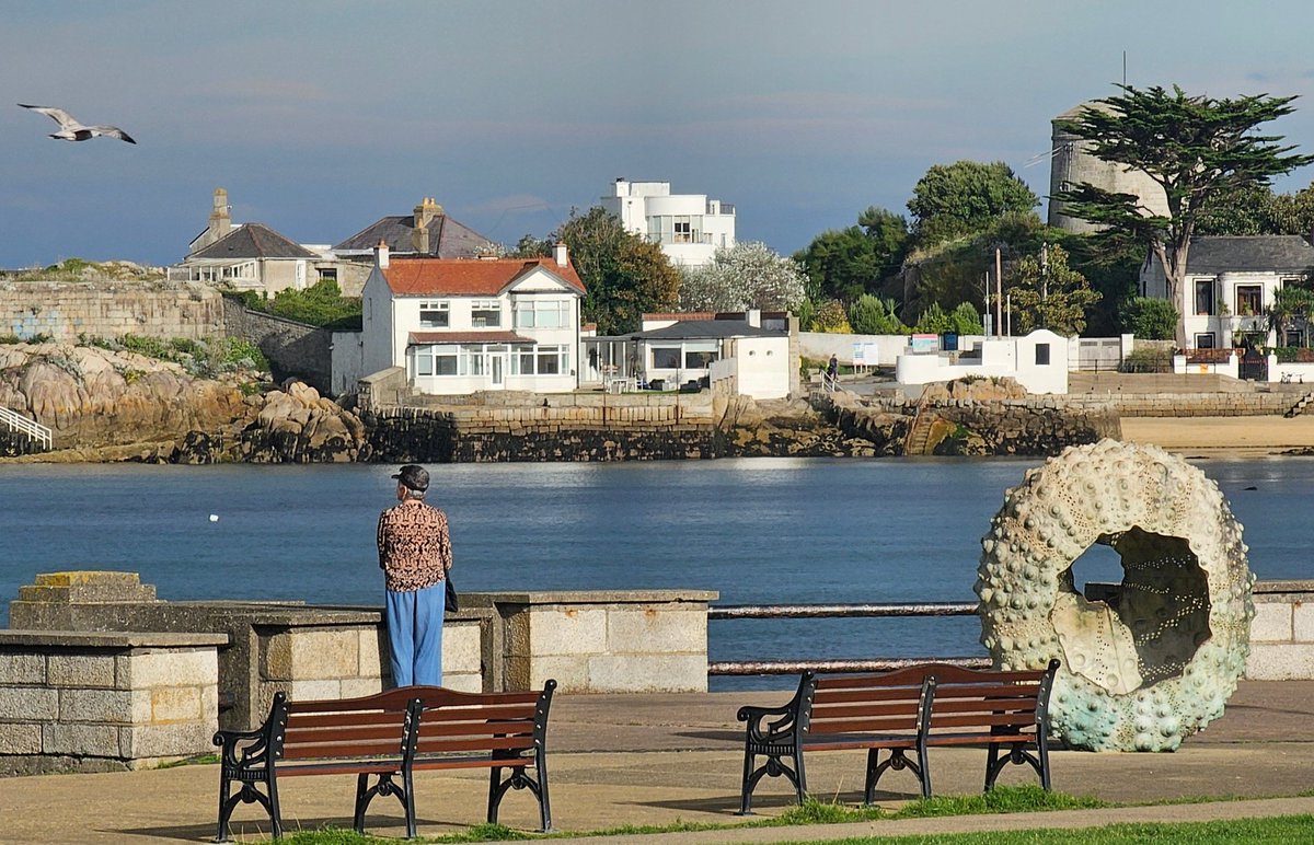 Ed Fidgeon-Kavanagh tweet media