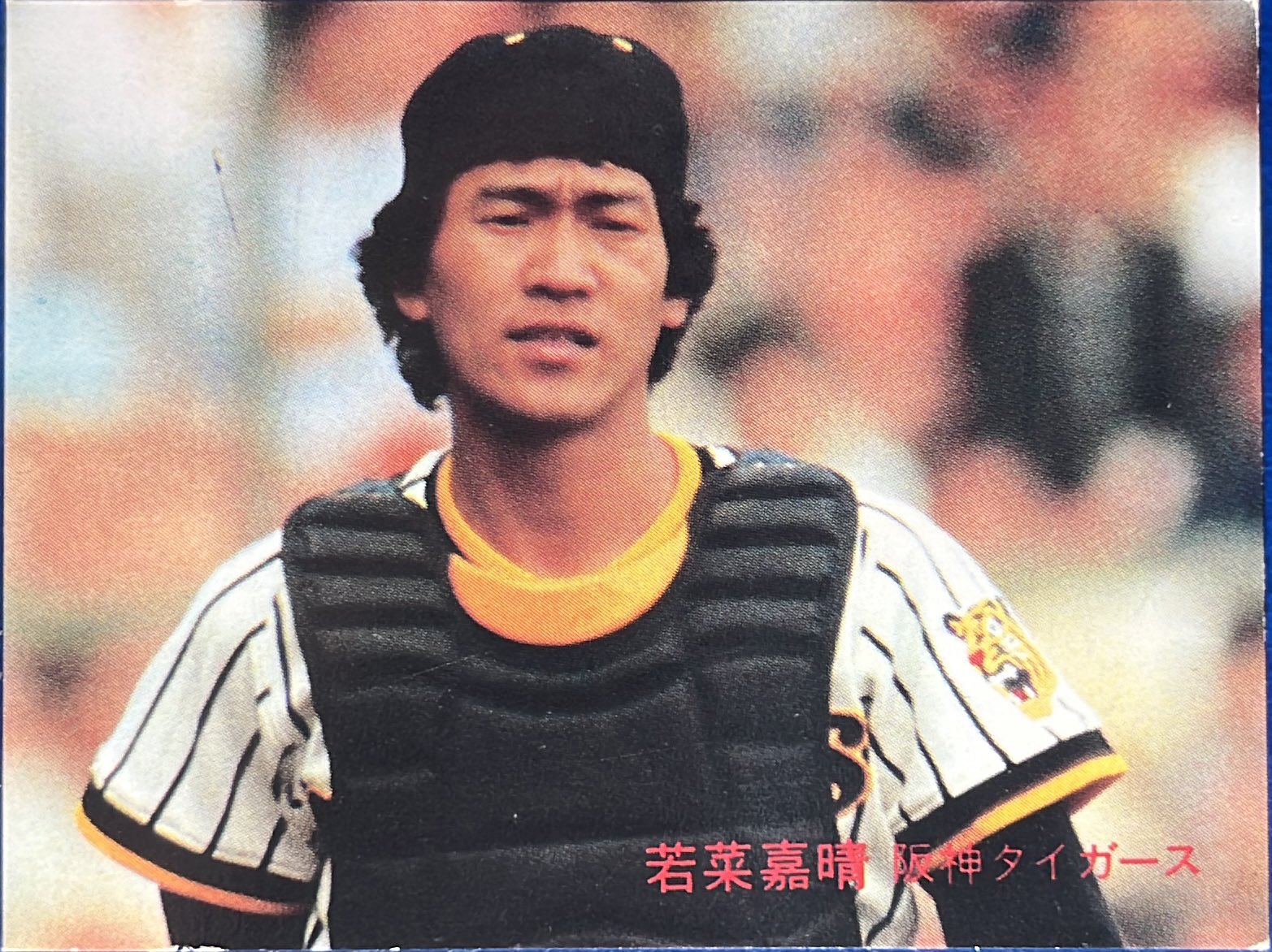 カルビー野球カード 82年 No.578 若菜嘉晴 (阪神) カルビー野球カード 82年 No.578 若菜嘉晴 (阪神タイガース