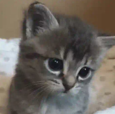 I'm just a girl surviving with millions unsaid thoughts and feelings🚶🏻‍♀️