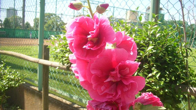 honky_tonk's tweet photo. 神:あなたはそのままでいいので、どんな瞬間も好きに遊んで下さい
人:(困り顔)
神:あなたは私だから
人:ずうっと劣った存在ではないのですか?
神:と思い込む自由もあります
人:みんな思い込んでますよ
神:あなたは?
人:(困り顔)
神:気づき始めてるみたいですね
#RealIdentity #正体 https://t.co/ZQITuCA7ts