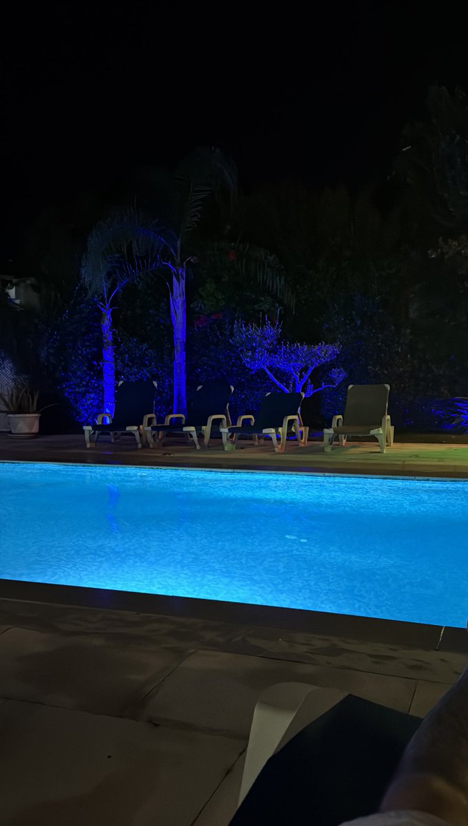 IMintTea tweet media