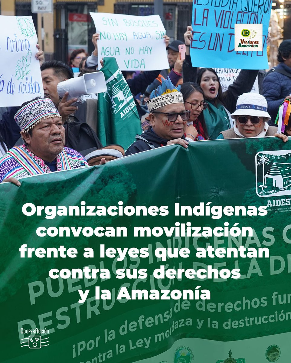 🔴 #MovilizaciónNacional   

Principales organizaciones indígenas del Perú convocan a movilización este viernes 19 de septiembre. En rechazo a proyectos de ley que atentan contra sus derechos y la Amazonía.

Lee más 🔗 bit.ly/3Kb5GHc