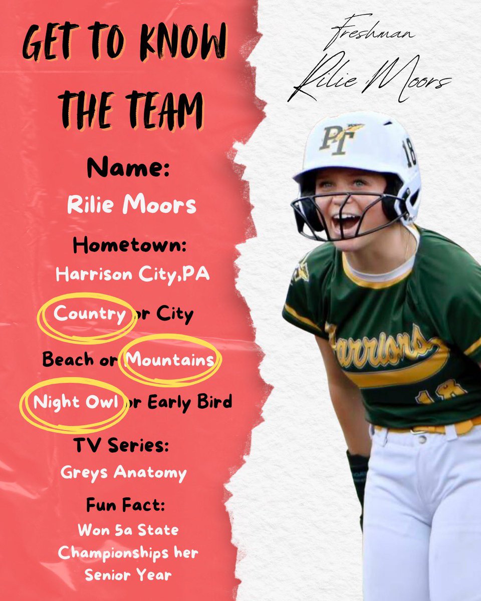 Seton Hill Softball tweet media