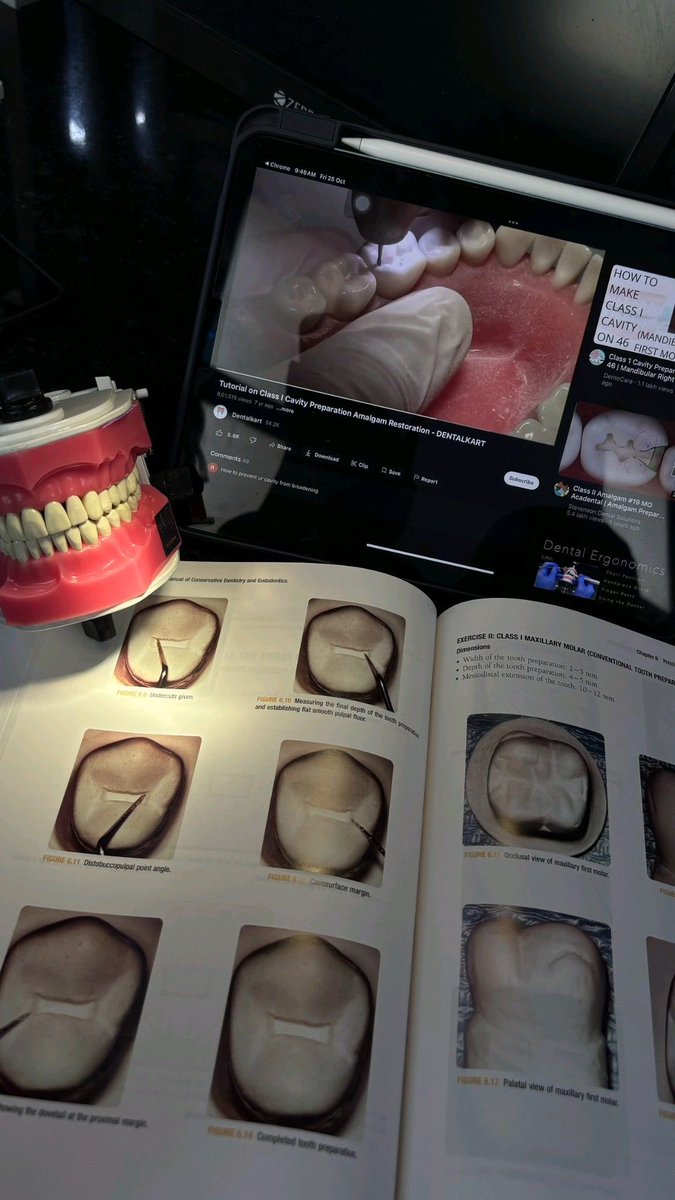 LINNE VAI SER ODONTO UEA🦷 tweet media