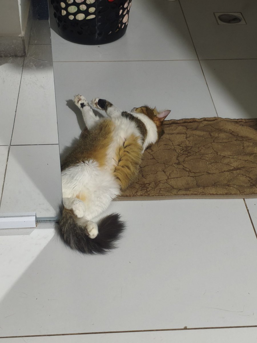 Chegando em casa depois de passar a madrugada inteira bebendo.