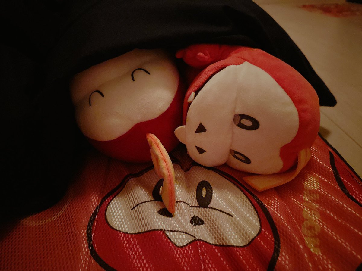 昨夜途中で目が覚めて横を見たらこんな可愛すぎる光景が……😭🫶
思わず写真を撮りました🥺✨
パペットホゲちゃんがねほげをよしよししておる。。😭🫶