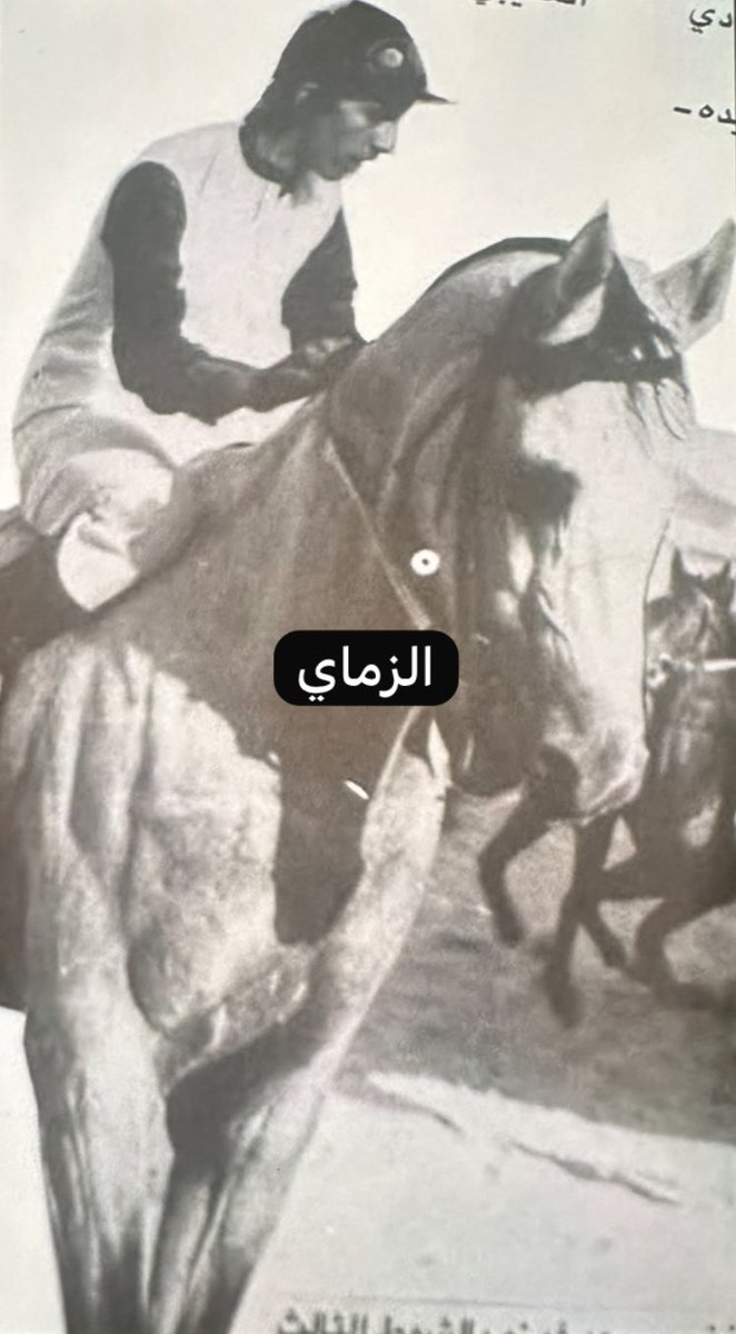 AlHumoudh's tweet photo. مكتبة اسطبل الزماي
مضمار الشيخ عبدالله الجابر الصباح
1984 _ 1985
الاجتماع العاشر
الشوط 3
جياد الدرجة الثالثة
الفائز .. المخضرم
المالك سلطان سعود الثويران
بقيادة الخيال سعد عبيد الدوسري
المسافة 1600م https://t.co/dpzYCnPtMd