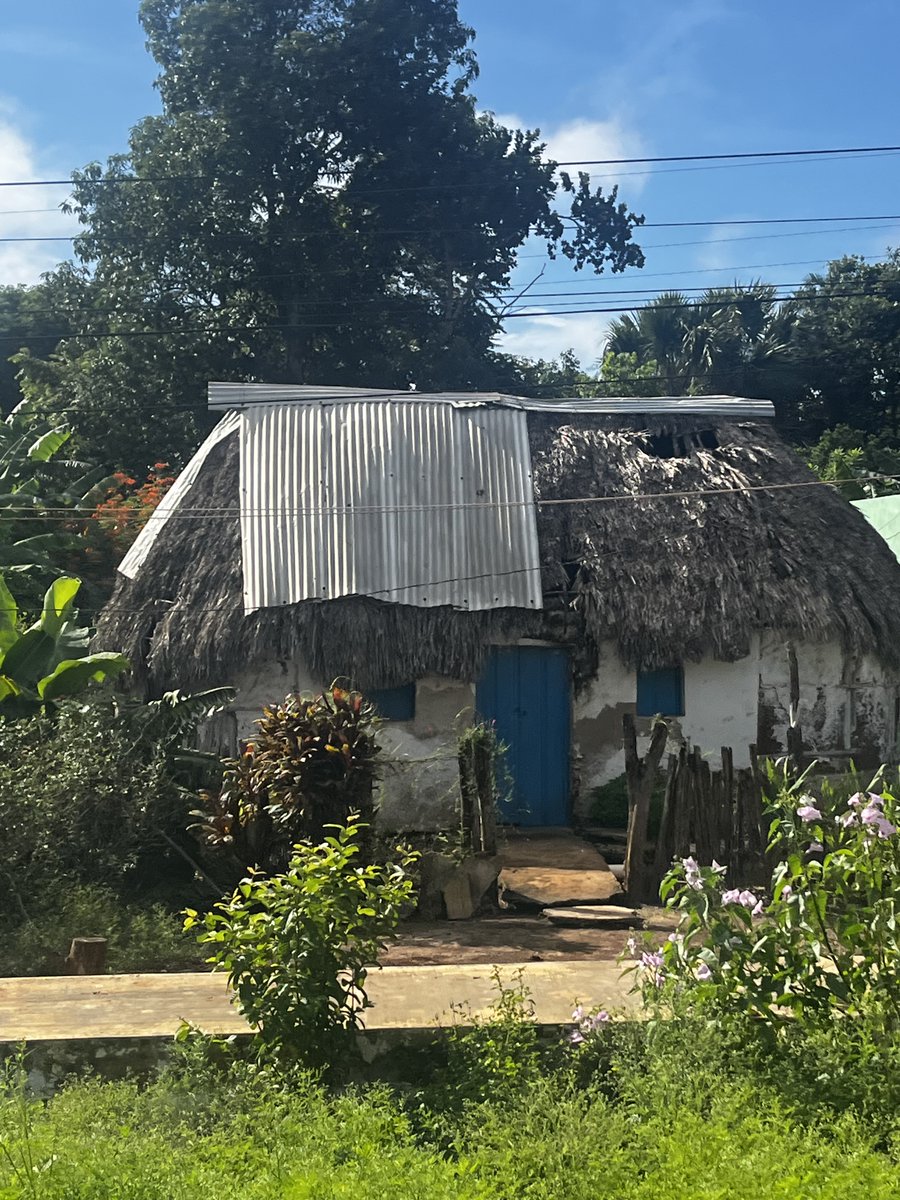 Great start <a href="/IntMicroDay/">International Microorganism Day</a> , in Campeche, Mexico. We talked about the microbiology of three "sisters" agricultural system (maize, beans and squash) of traditional Mayan people and the need to rescue native maize in joint effort with local seed keepers and small farmers.