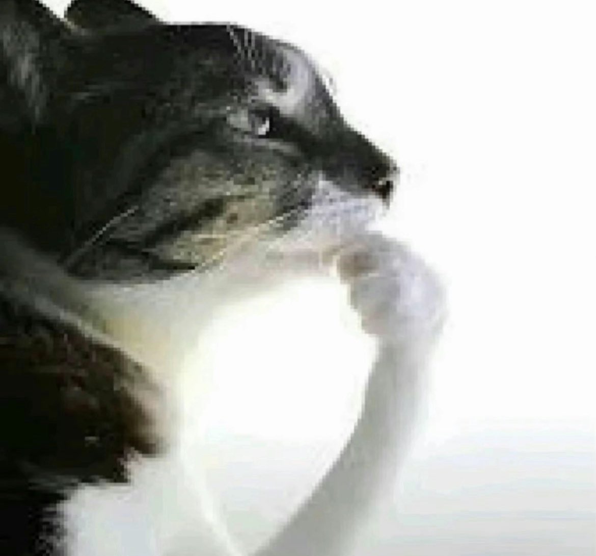 steven shaeffer tweet media