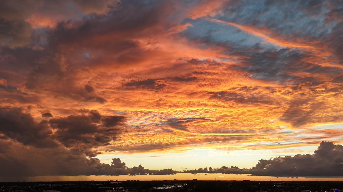 JaredVCaretti's tweet image. 