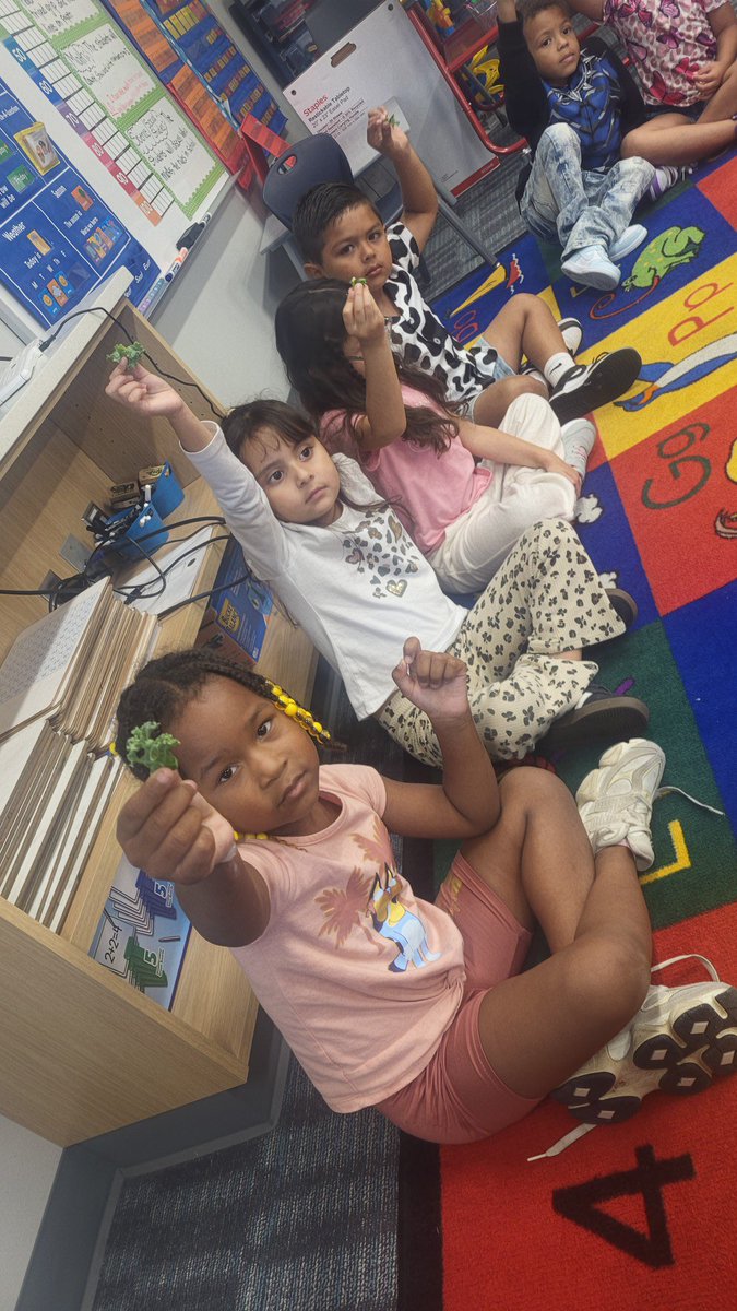 Lowell Brune Elementary tweet media